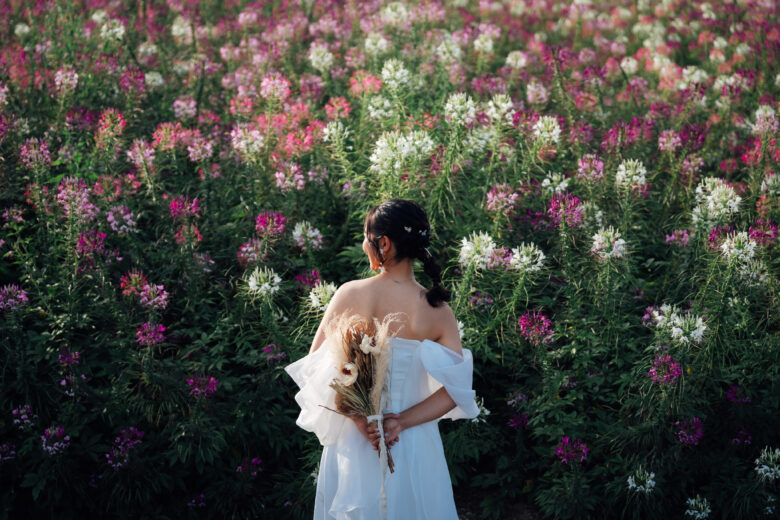 四季彩の丘には様々な花が楽しめる