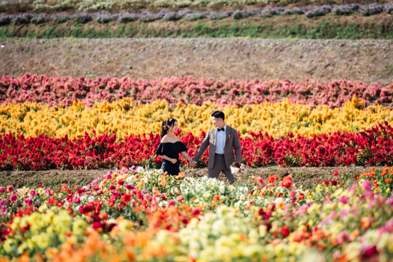 四季彩の丘で撮るウェディングフォトとオープニングムービー。カラフルな花畑が感動的