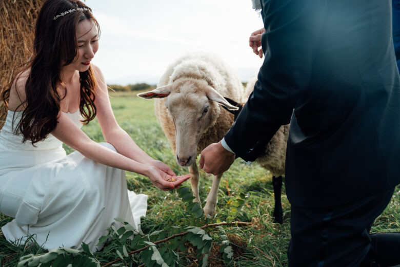 あおいまきばでウェディングフォト前撮り
