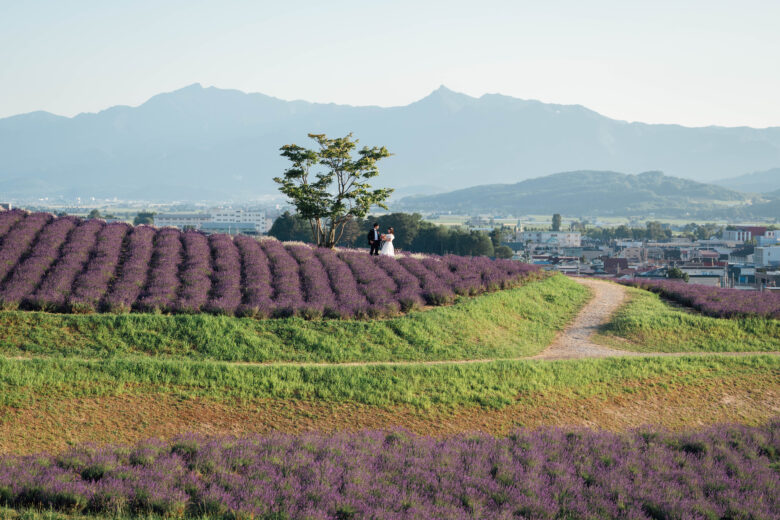 富良野日の出公園ラベンダー園の丘でウェディング撮影