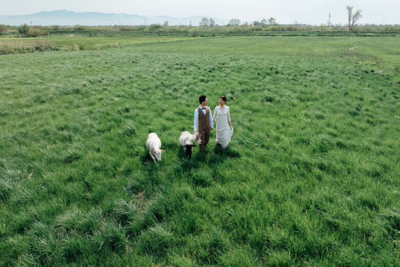 あおいまきばでウェディングフォト前撮り
