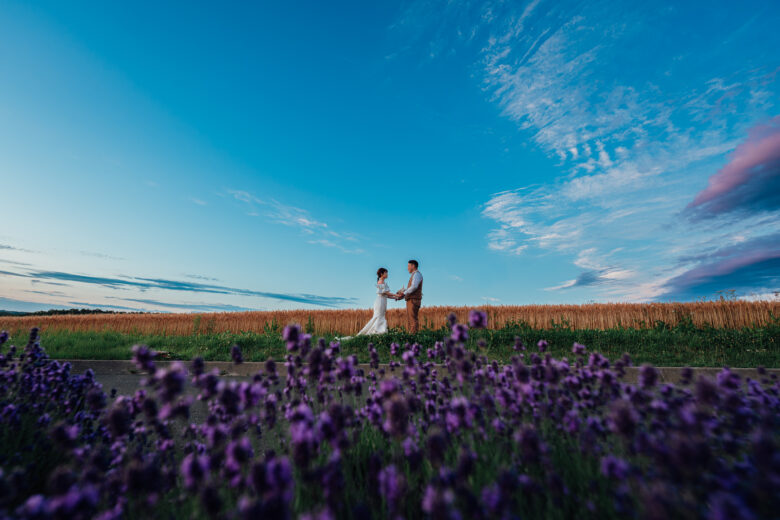 夕暮れのラベンダーと青空