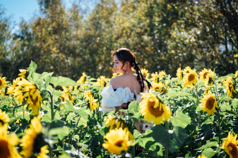 ひまわりもある四季彩の丘でウェディングフォト