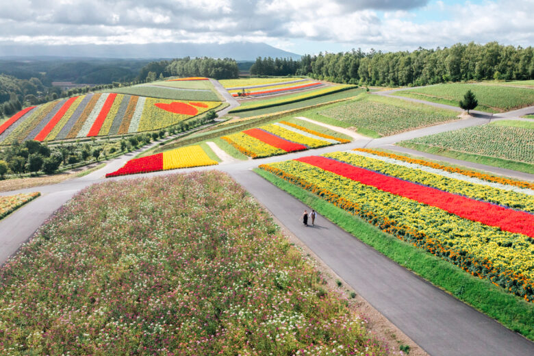 ドローンで空撮する四季彩の丘のウェディングフォト
