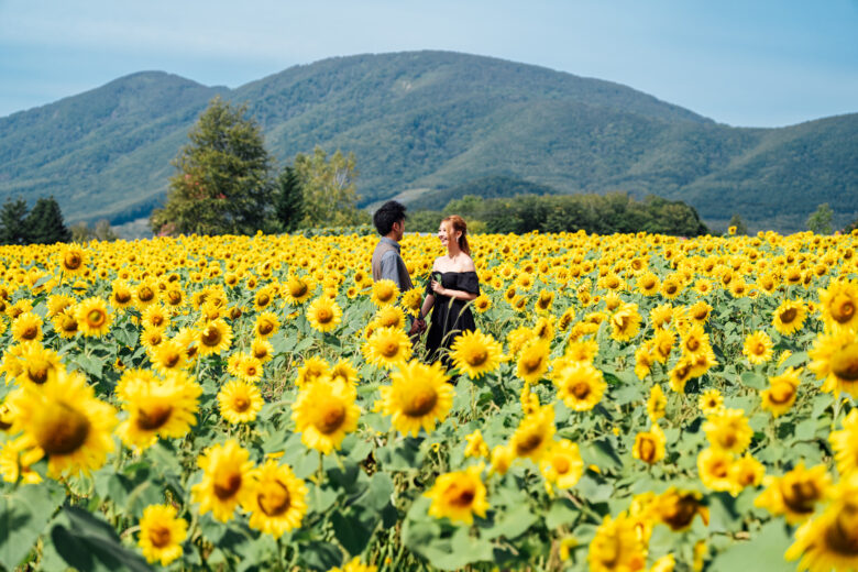ひまわり畑でウェディングフォトとオープニングムービー（積丹エリア）