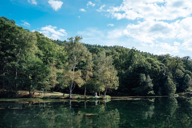 青空と木々がきれいな鳥沼公園のウェディングフォト